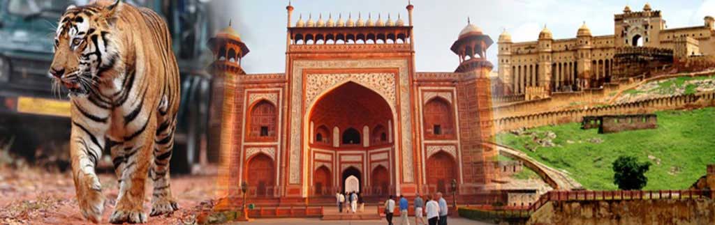 Golden Triangle Tour by car