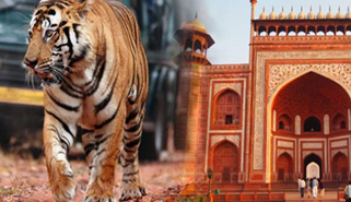 Private car and driver Golden Triangle with Ranthambore