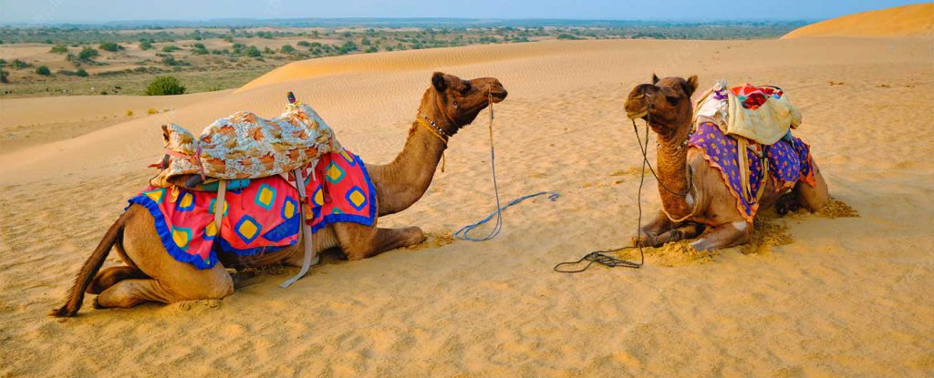 Private car and driver for Rajasthan tour. Delhi to Rajasthan Taxi