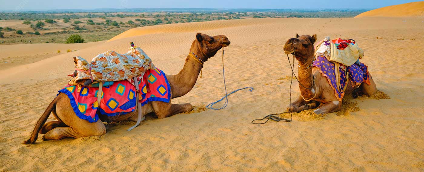 private-car-and-driver-for-rajasthan-tour