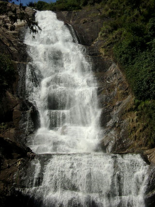 Palani wildlife sanctuary Witness the beauty of a picturesque forest