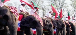 Dehing patkai festival The beauty and spirit of north-eastern India