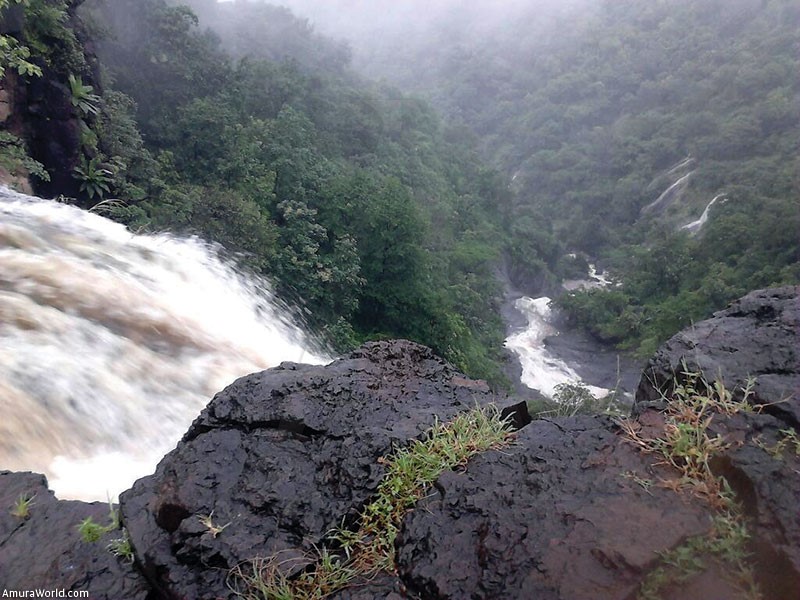 Western Ghats offers a lively ambience at gautala wildlife sanctuary