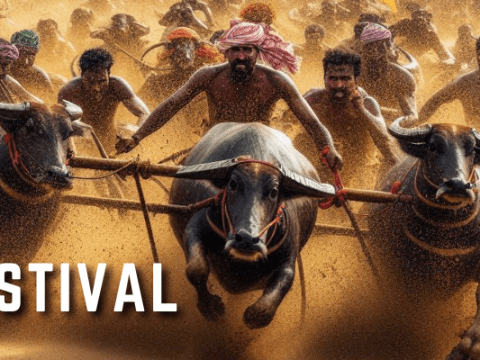 Kambala Festival: A Thrilling Dive into Karnataka's Cultural Heritage