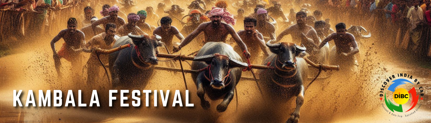 Kambala Festival: A Thrilling Dive into Karnataka's Cultural Heritage