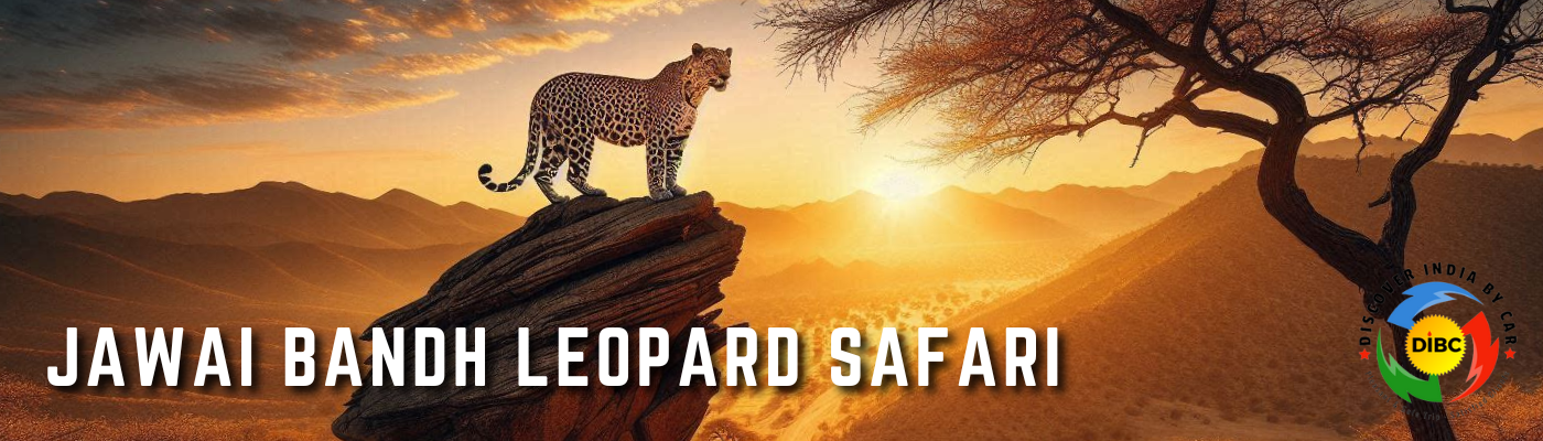 Jawai Bandh Leopard Safari: An Unforgettable Wildlife Adventure in Rajasthan