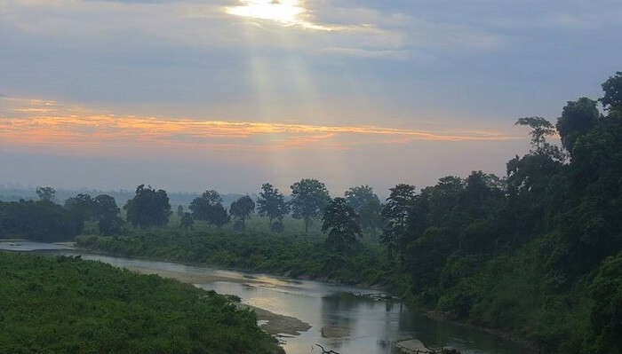 Gorumara National Park