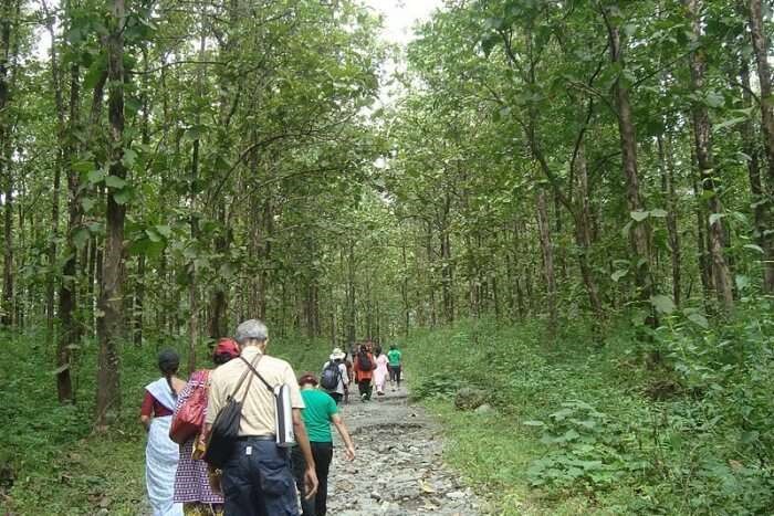 Gorumara National Park