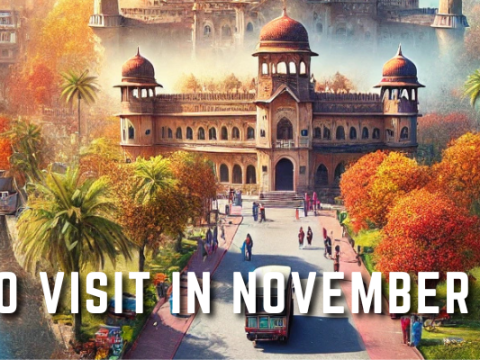 Best Places to Visit in November in India