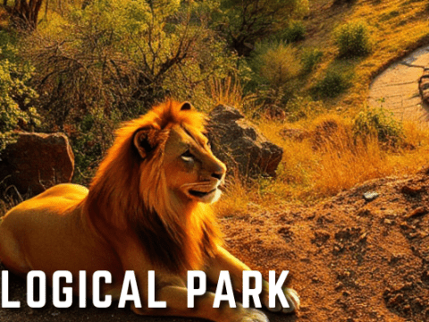 Nahargarh Biological Park