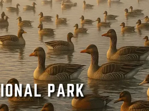 Keoladeo National Park