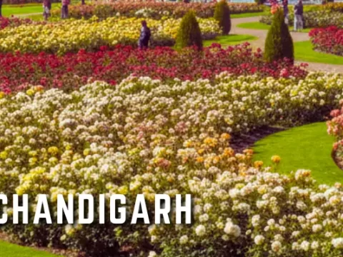 Rose Garden Chandigarh