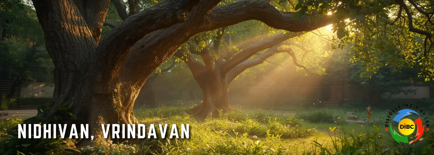 Nidhivan, Vrindavan Night Mystery, Timings & True Story