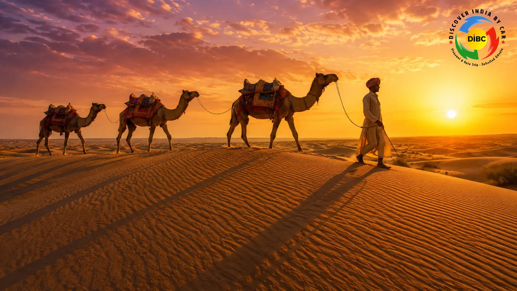 A long-shot cinematic view of a camel safari on the golden sand dunes of Jaisalmer during a vibrant amber sunset.